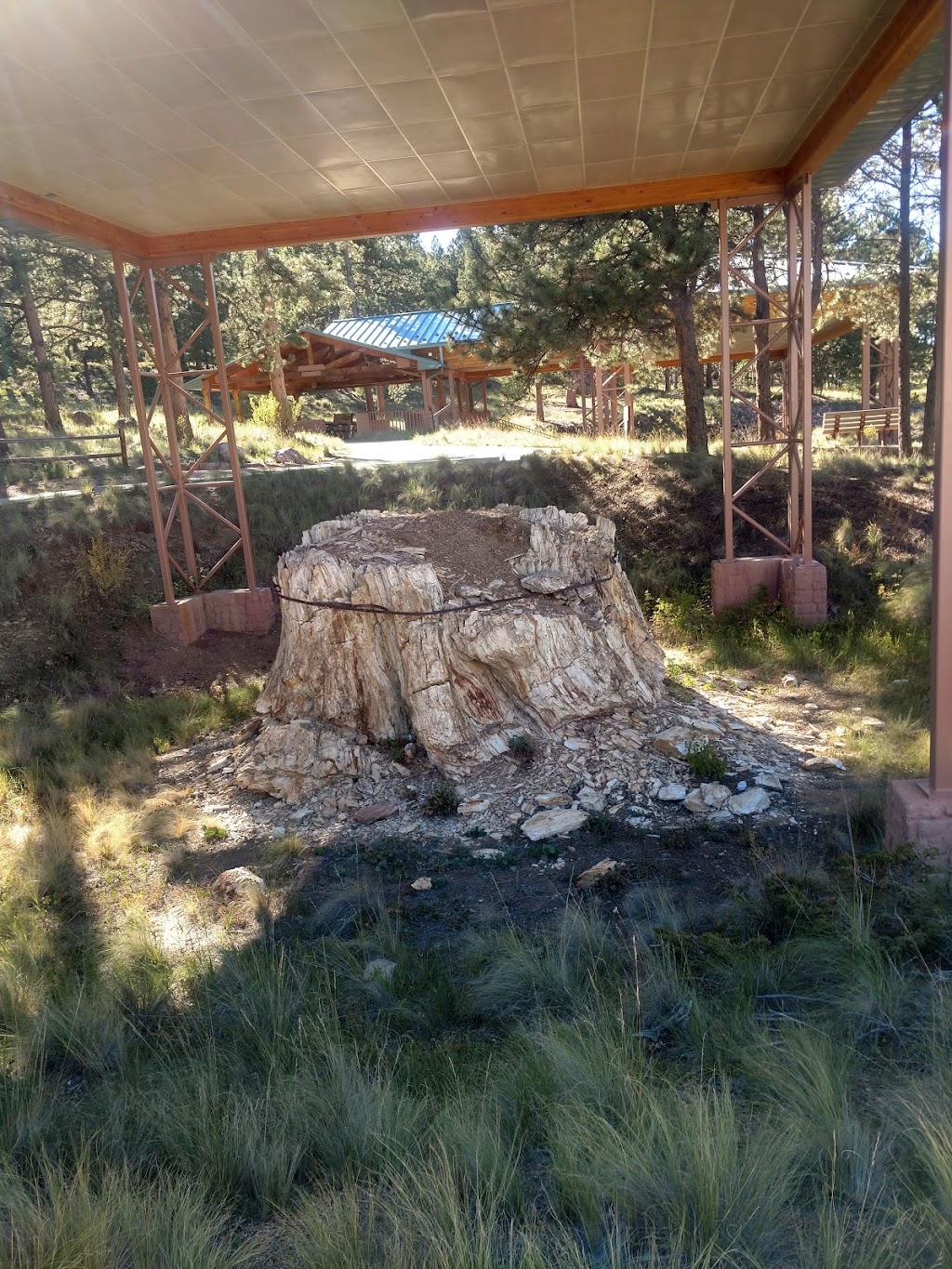 Travel Port Campground | 39284 US-24, Lake George, CO 80827 | Phone: (719) 748-8191