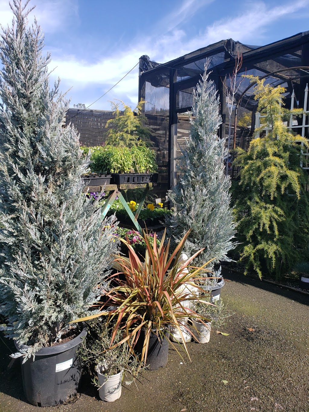 Green Acres Nursery & Supply at Eisleys | 380 Nevada St, Auburn, CA 95603, USA | Phone: (530) 885-5163