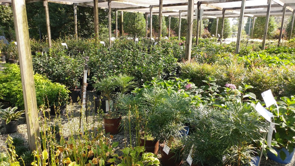 Gossetts Landscape Nursery | 7801 Clinard Farms Rd, High Point, NC 27265 | Phone: (336) 454-2548