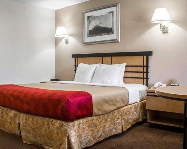 Econo Lodge Inn & Suites Colonie Center Mall | 1630 Central Ave, Albany, NY 12205, USA | Phone: (518) 456-0222