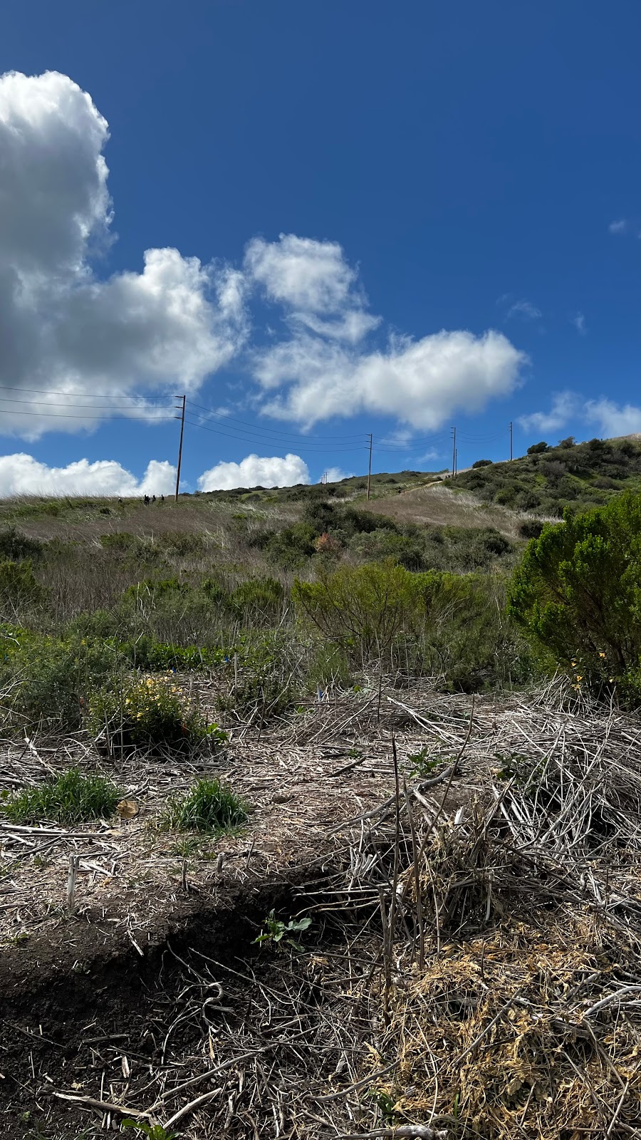 Lower Moro Parking Lot, Crystal Cove State Park | El Moro Canyon Trail, Laguna Beach, CA 92651, USA | Phone: (949) 494-3539