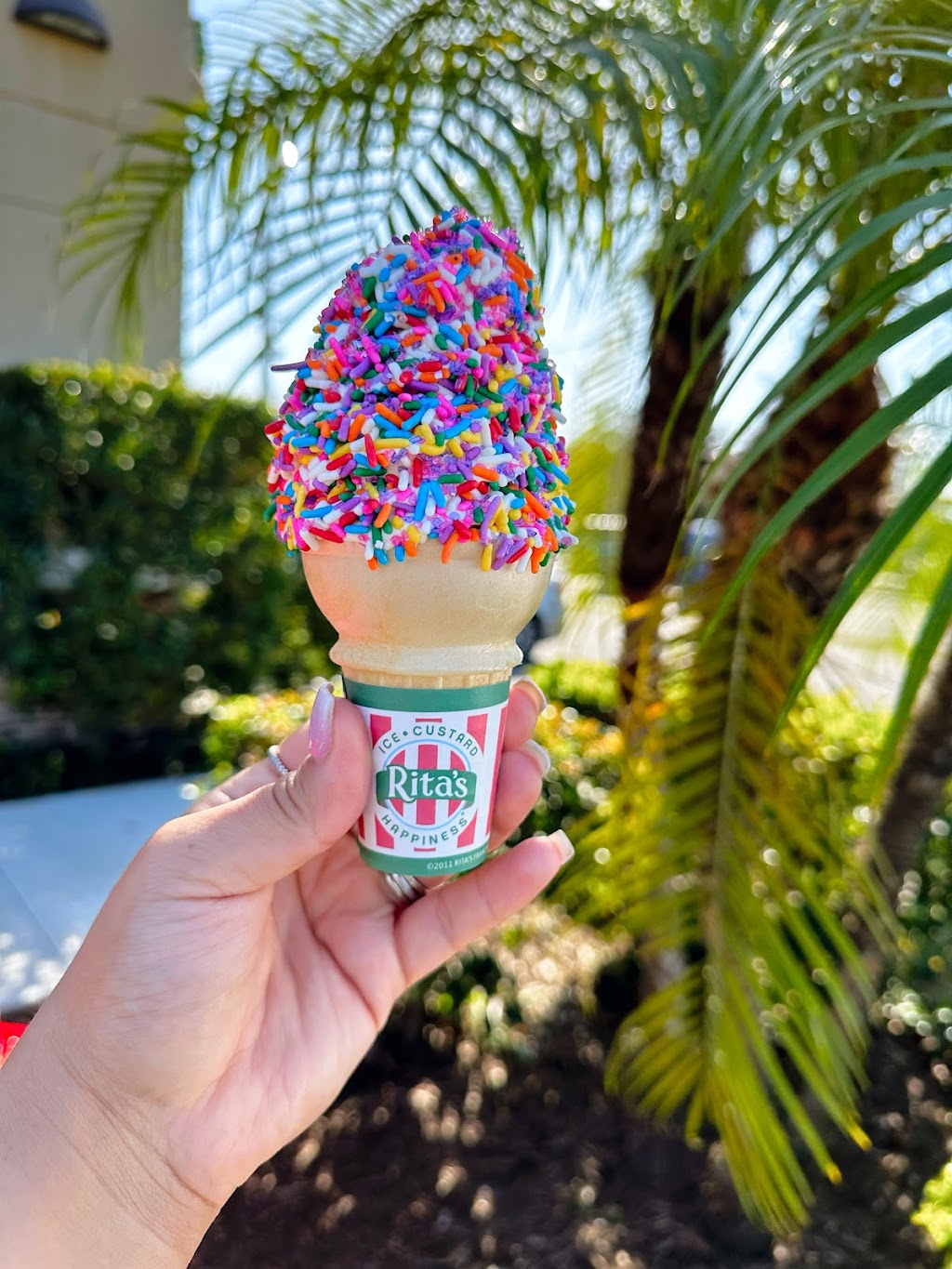 Ritas Italian Ice & Frozen Custard | 3115 US Hwy 98 N Market Square Shopping Center, Lakeland, FL 33805, USA | Phone: (863) 606-5822