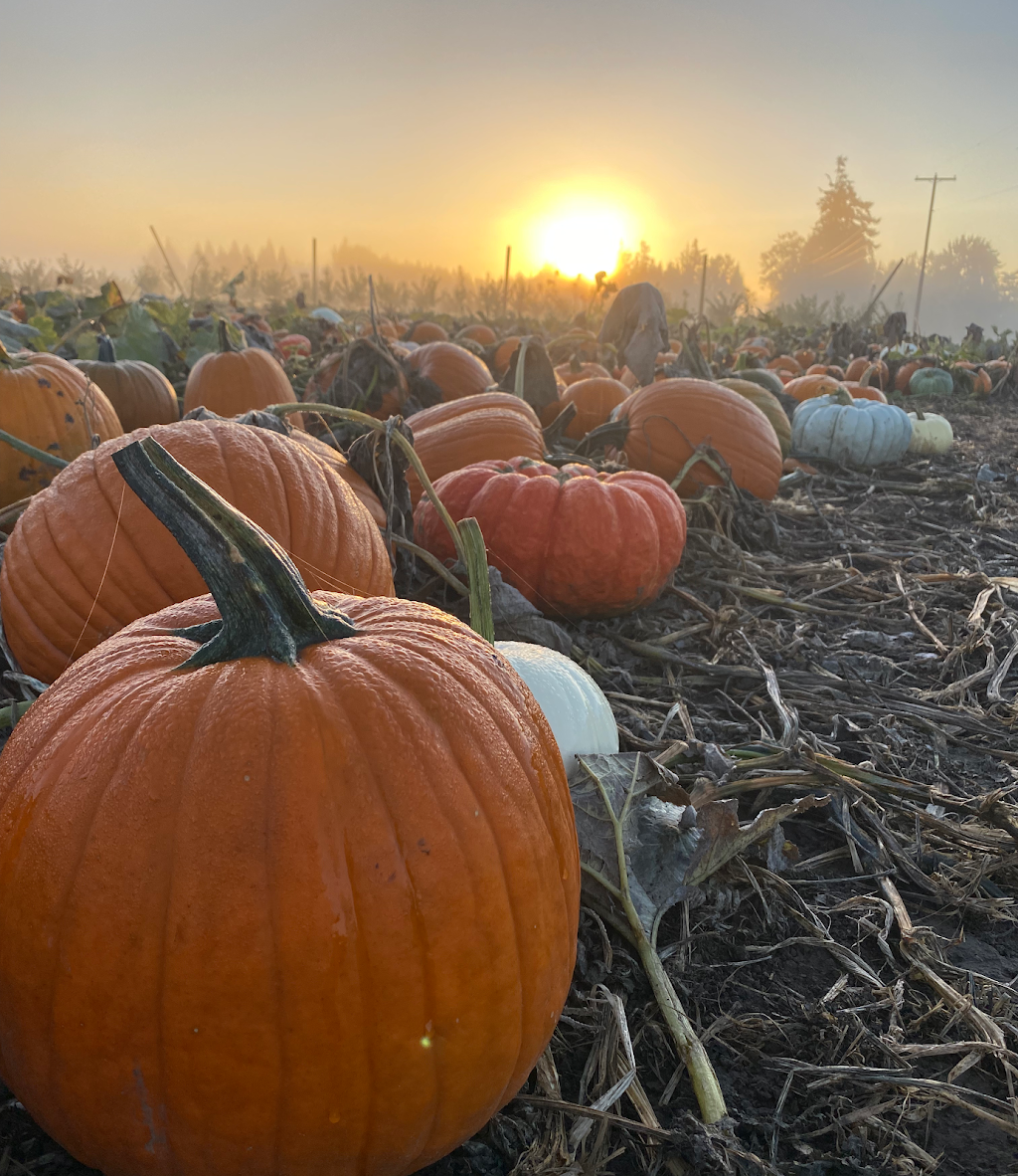 Neck Road Produce | 18945 SE Neck Rd, Dayton, OR 97114, USA | Phone: (503) 714-5556