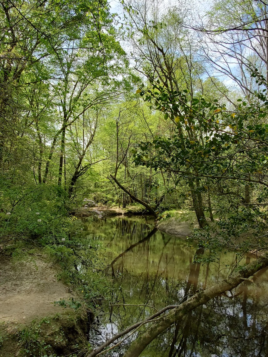 Flower Hill Nature Preserve | 9038 Flower Hill Rd, Middlesex, NC 27557, USA | Phone: (919) 833-3662