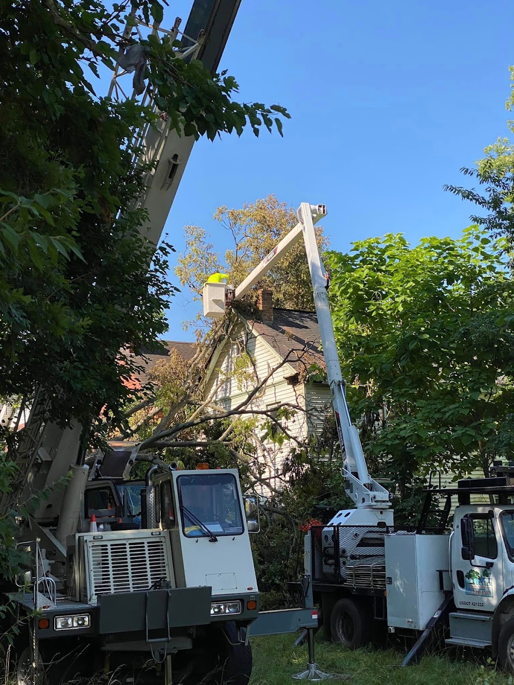 Gregory Forrest Lester Inc | 7798 Reading Rd Suite E, Cincinnati, OH 45237, USA | Phone: (513) 351-6100