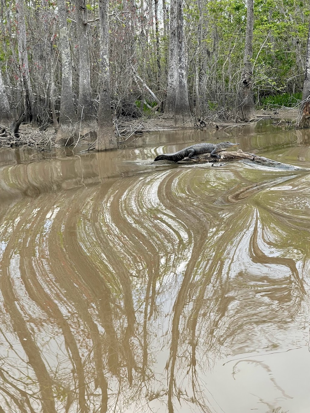 Black Lake Club Bait & Tackle | 25855 Black Lake Club Rd, Maurepas, LA 70449, USA | Phone: (225) 695-6447