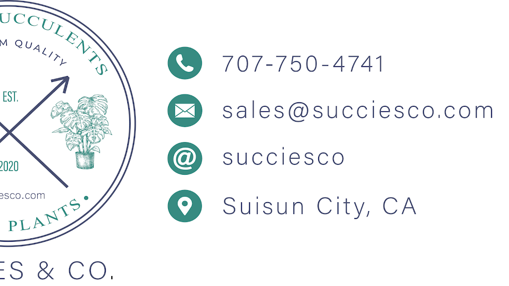 SUCCIES & CO. | 1515 Casa Loma Way, Suisun City, CA 94585, USA | Phone: (707) 315-2312