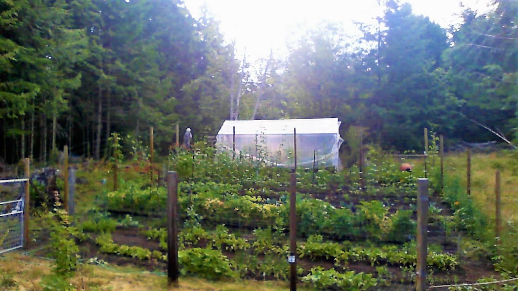 Butlers Farm | 3414 137th St NW, Gig Harbor, WA 98332, USA | Phone: (253) 241-9594