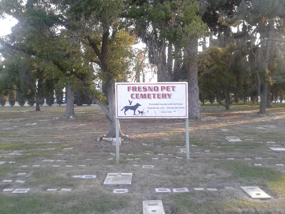 Fresno Pet Cemetery | 1501 W Nielsen Ave, Fresno, CA 93706, USA | Phone: (559) 266-6753