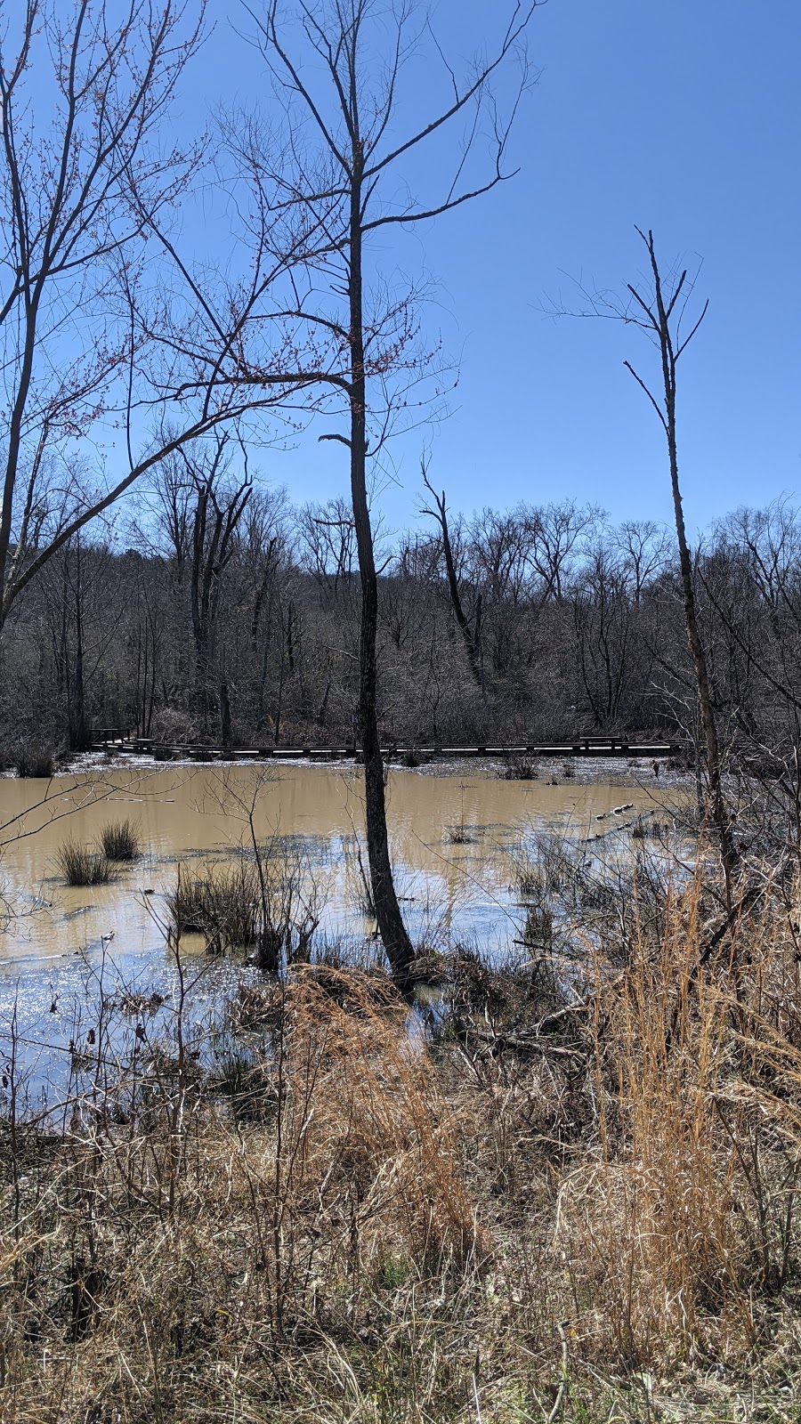 Mill Creek Nature Center | 2355 Mall of Georgia Blvd, Buford, GA 30519, USA | Phone: (770) 787-7887