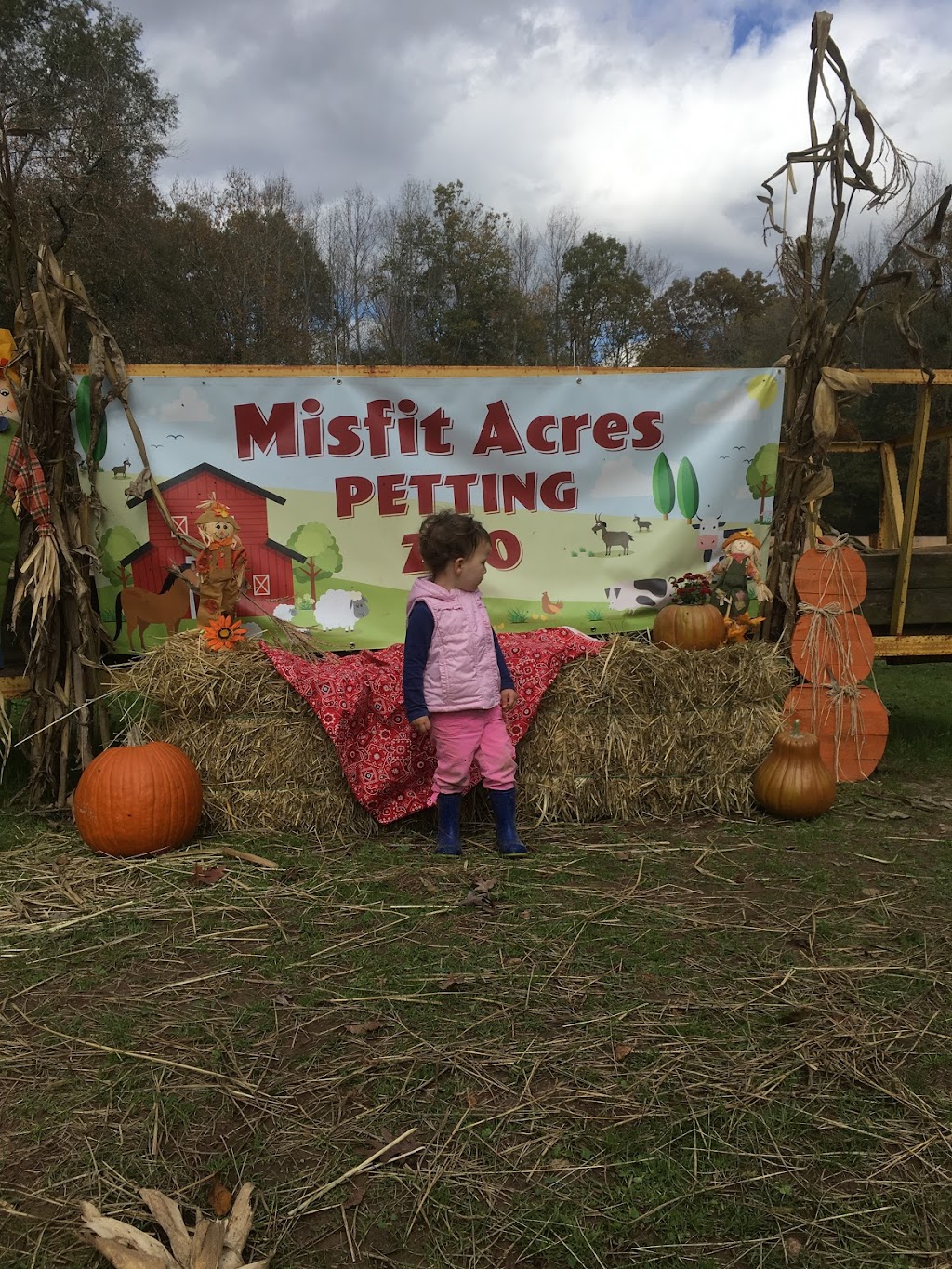 Misfit Acres Farm | 14823 Cross County Rd, Mineral, VA 23117, USA | Phone: (804) 467-9440