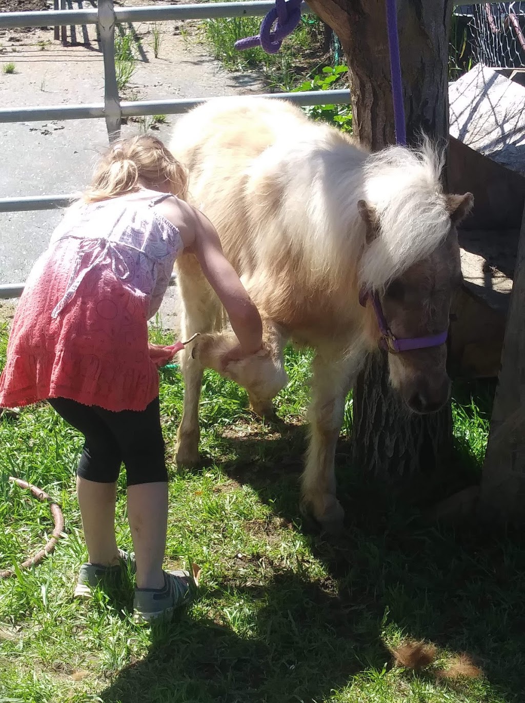 Twisted Bit Ranch | 21844 Rd 29 1/2, Madera, CA 93638, USA | Phone: (559) 931-2400