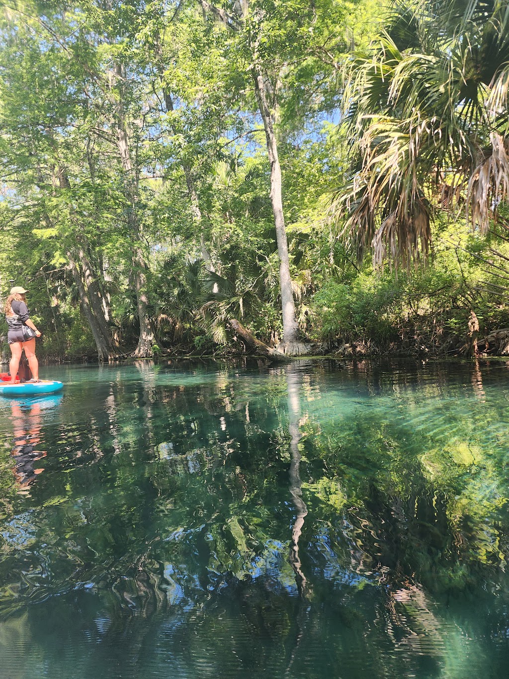 Ecoventure Tours | 5656 E Silver Springs Blvd, Silver Springs, FL 34488, USA | Phone: (352) 257-7259