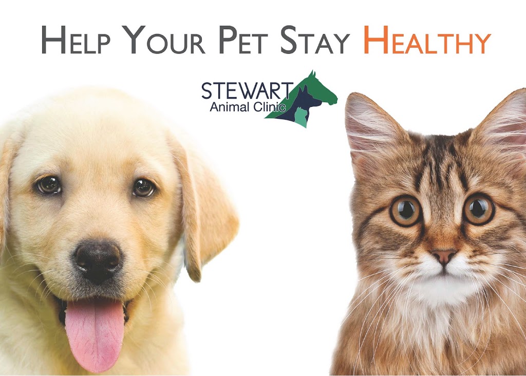 Stewart Animal Clinic | 9630 US-31, Warrior, AL 35180, USA | Phone: (205) 647-8140