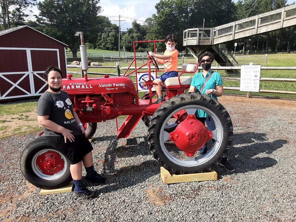 Tomasello Winery at Alstede Farm | 1 Alstede Farms Ln, Chester, NJ 07930, USA | Phone: (800) 666-9463