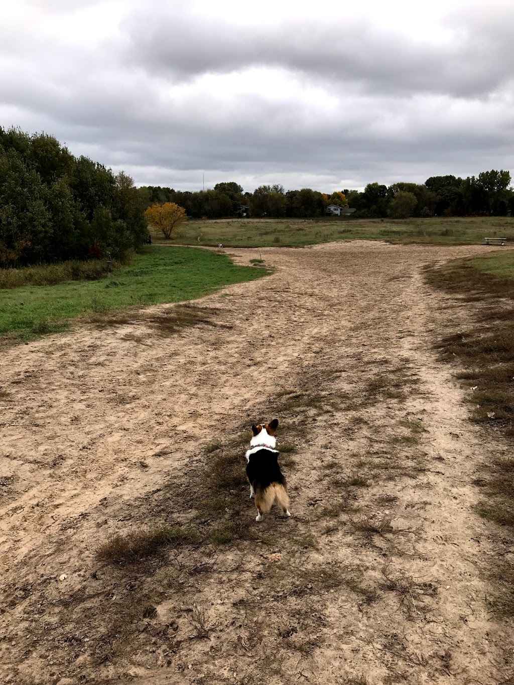 Rice Creek Off-Leash Dog Area | 5959 Lexington Ave N, Shoreview, MN 55126, USA | Phone: (651) 748-2500