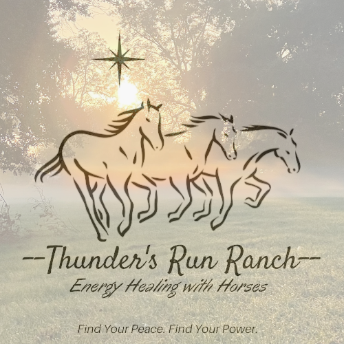 Thunders Run Ranch | Little Brown Church Rd, Pierson, FL 32180, USA | Phone: (904) 859-6415