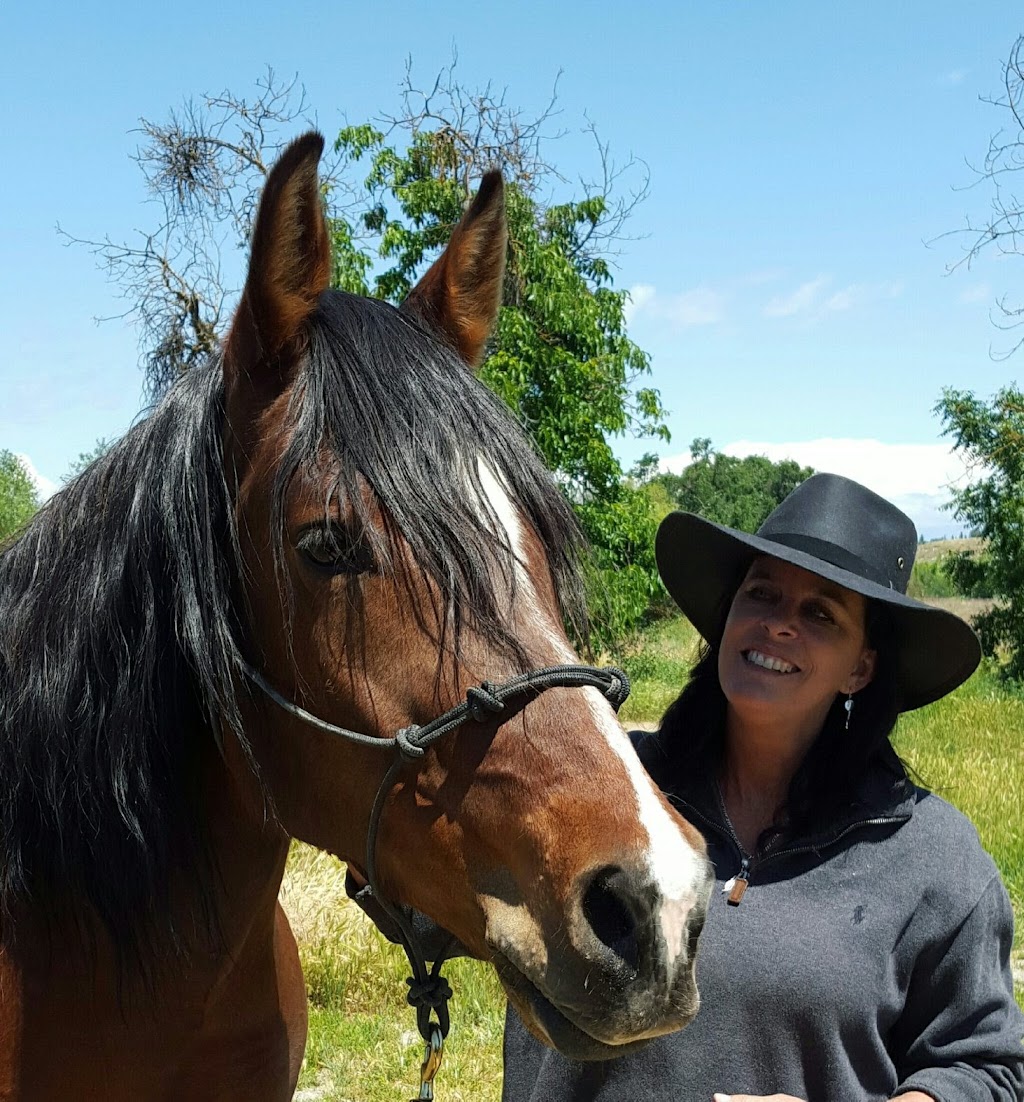 Tri Star Equine Veterinary Services | 24860 N Tully Rd, Acampo, CA 95220, USA | Phone: (209) 367-1160