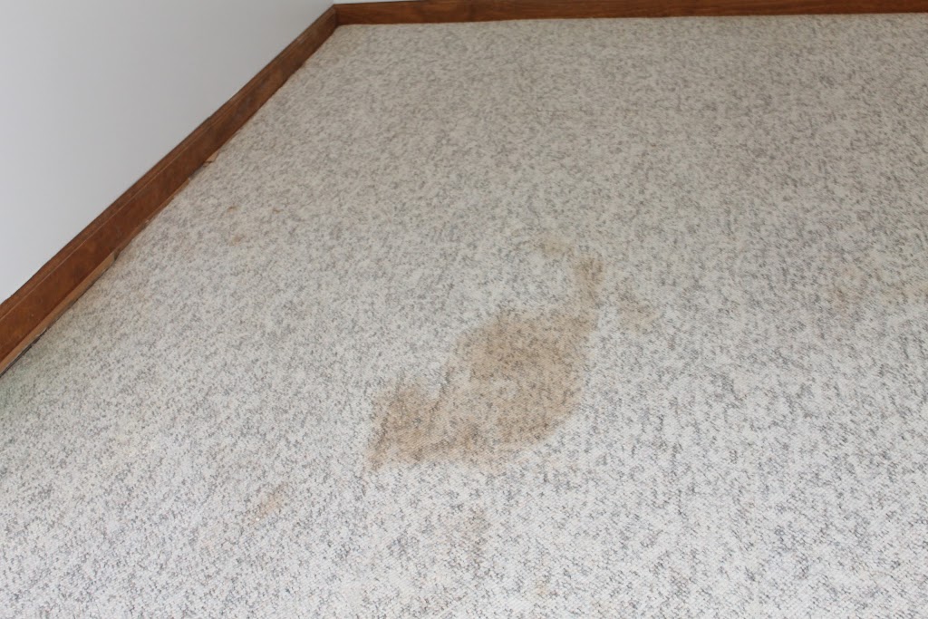 Extreme Professional Carpet and Upholstery Cleaning | 900 Lockmead Ct, Pataskala, OH 43062 | Phone: (614) 895-0903