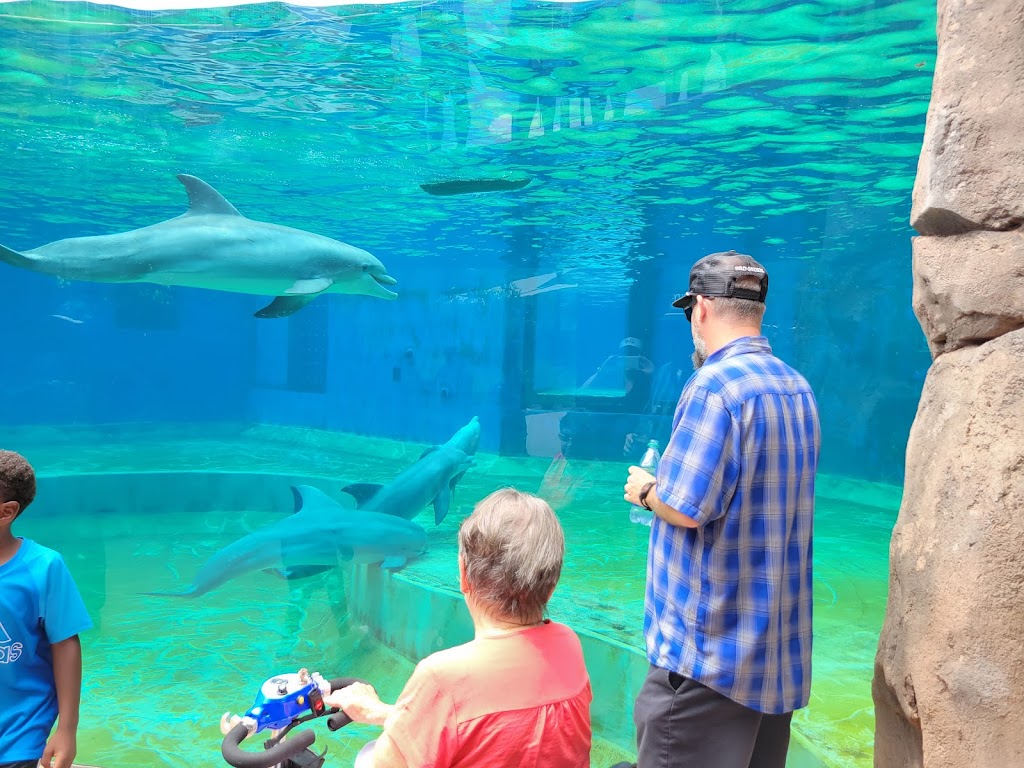 Mississippi Aquarium | 2100 E Beach Blvd, Gulfport, MS 39501, USA | Phone: (228) 241-1300