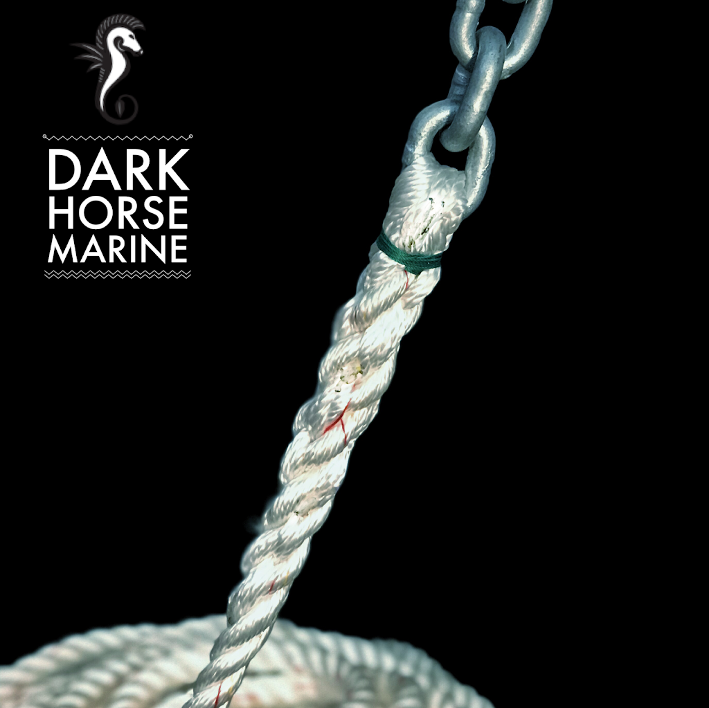 Dark Horse Marine, LLC | 12789 60th St N, Clearwater, FL 33760, USA | Phone: (727) 489-4533