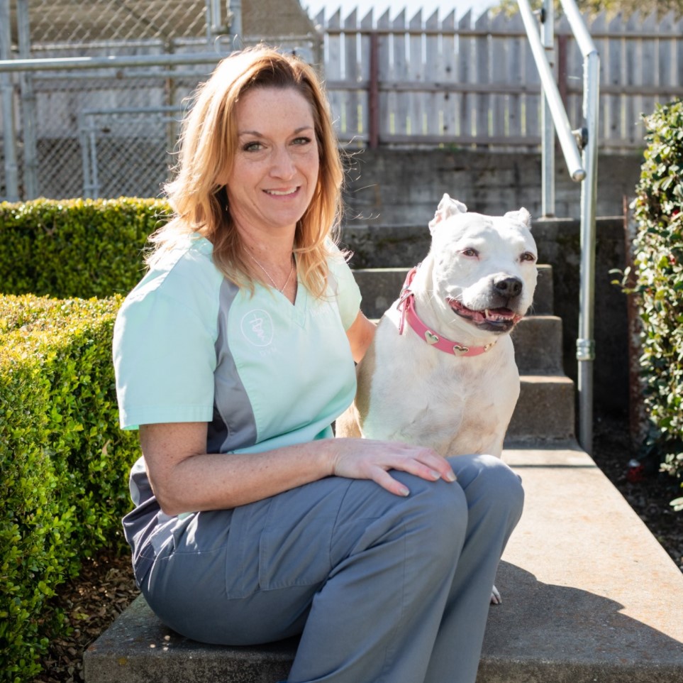 Petaluma Veterinary Hospital | 2443 Petaluma Blvd N, Petaluma, CA 94952, USA | Phone: (707) 762-3511