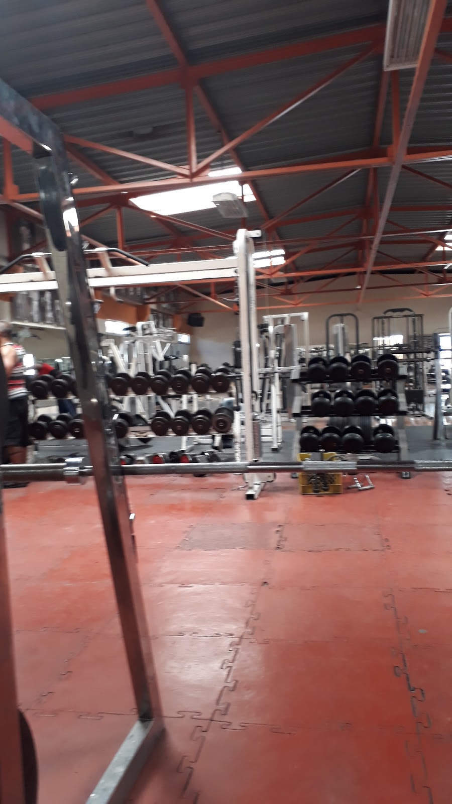 Bosco Gym | Av. Negrete 1320, Zona Centro, 22000 Tijuana, B.C., Mexico | Phone: 664 688 0139