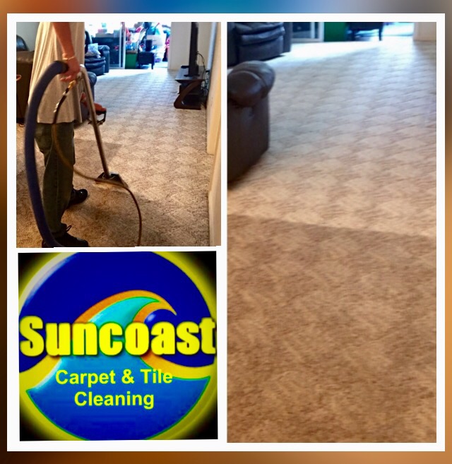 Suncoast Carpet & Tile Cleaning | 3926 Oriole Ave, Port Orange, FL 32127, USA | Phone: (386) 341-4871