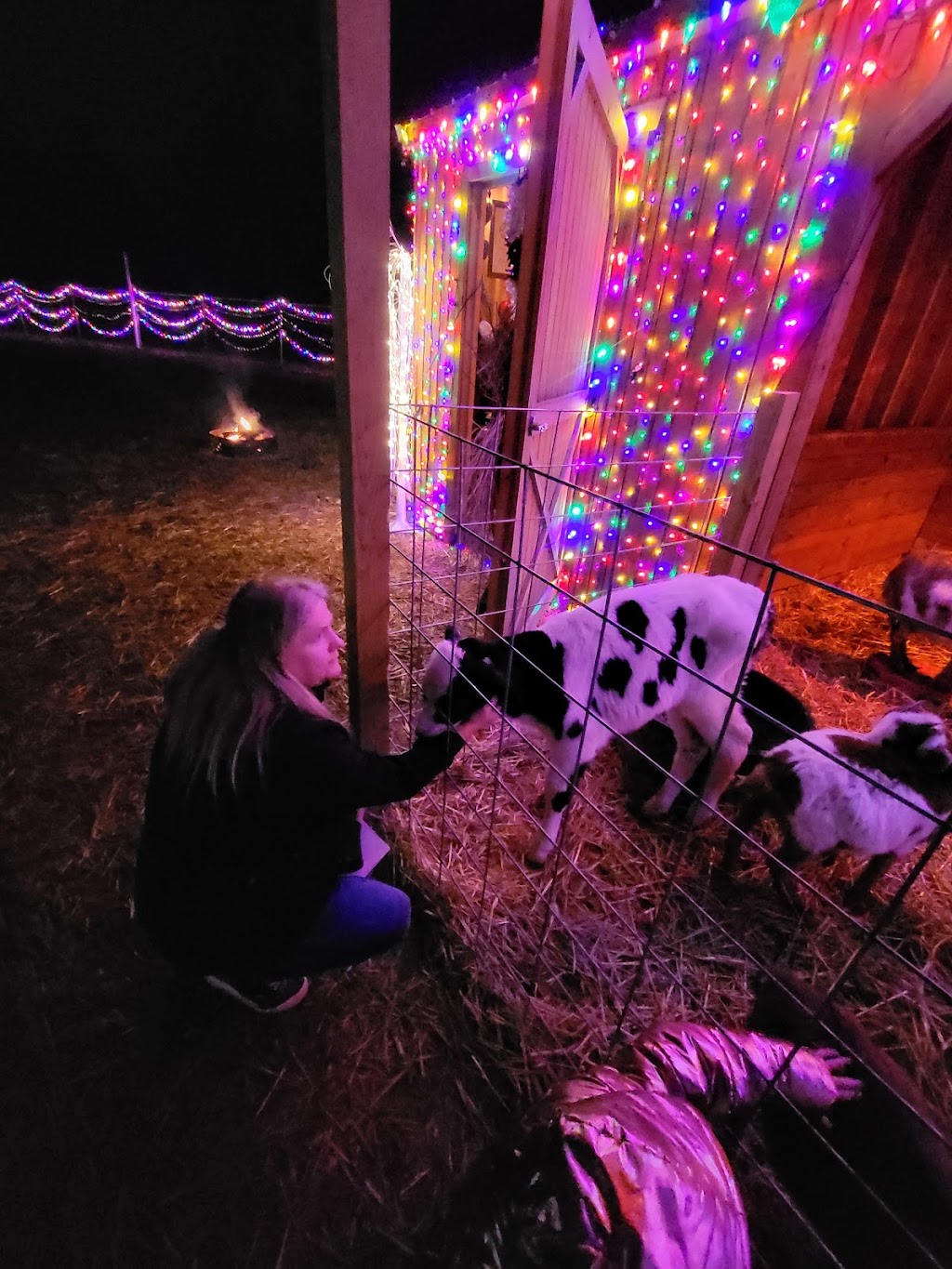 Ogden Softball Park | 12730 Liming Van Thompson Rd, Mt Orab, OH 45154, USA | Phone: (937) 444-2274