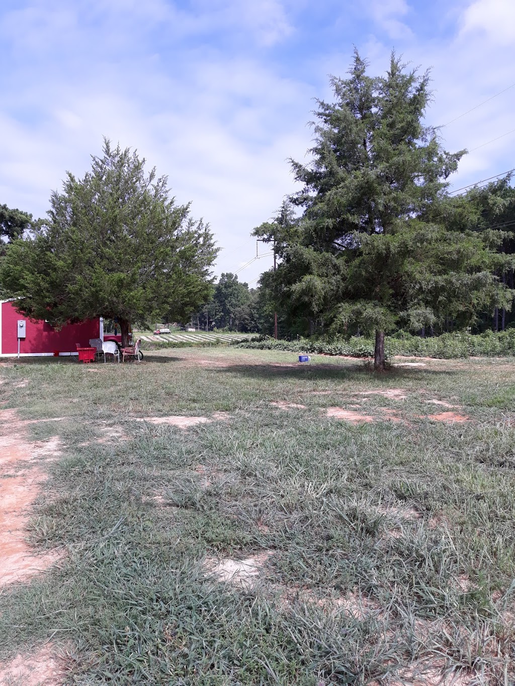 Oasis Farm Produce & Country Store | 2009 Marks Creek Rd, Knightdale, NC 27545, USA | Phone: (919) 520-8025