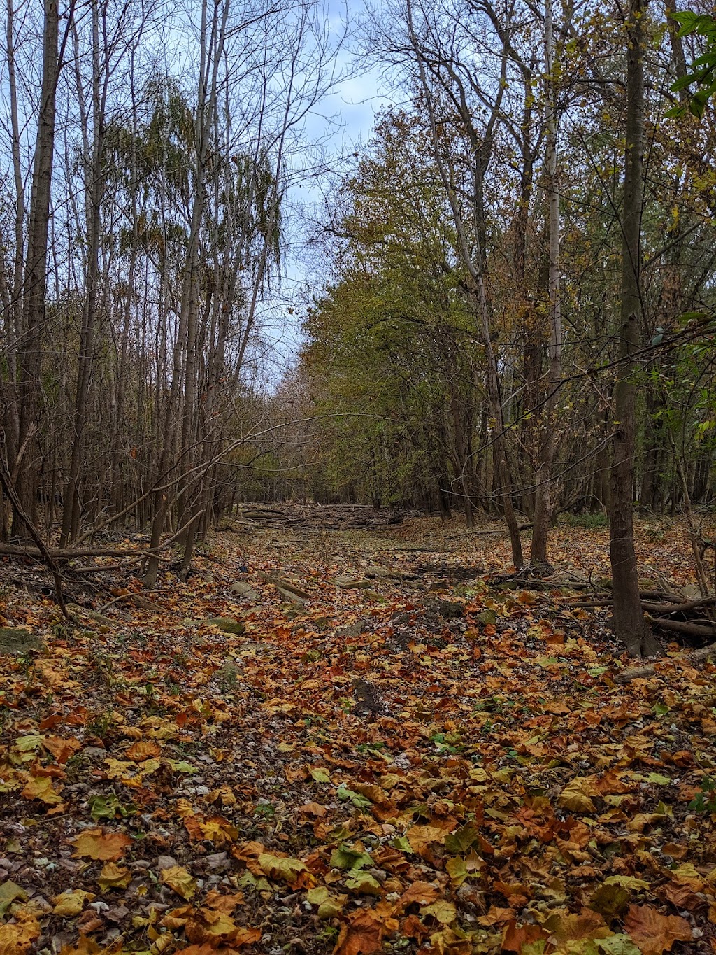 Don Miller Memorial Park (Formerly River Cliff Park) | 1329 Tiffin St, Fremont, OH 43420, USA | Phone: (419) 334-4495