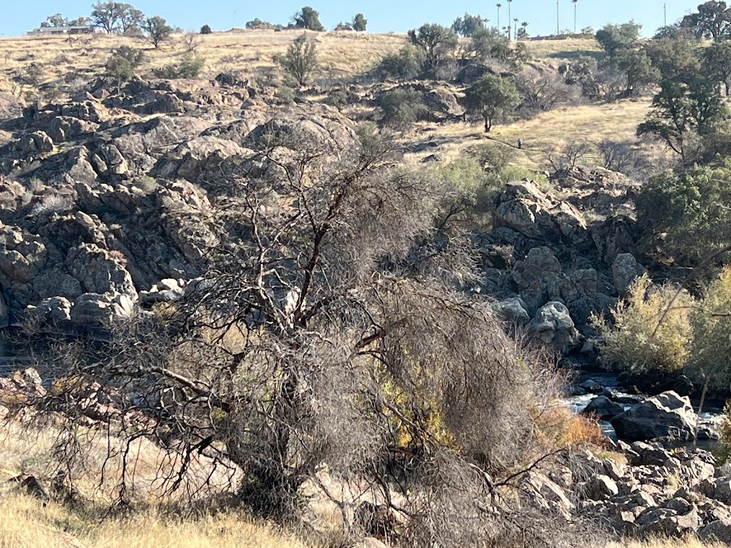 Knights Ferry Recreation Area | 17968 Covered Bridge Rd, Oakdale, CA 95361, USA | Phone: (209) 881-3517