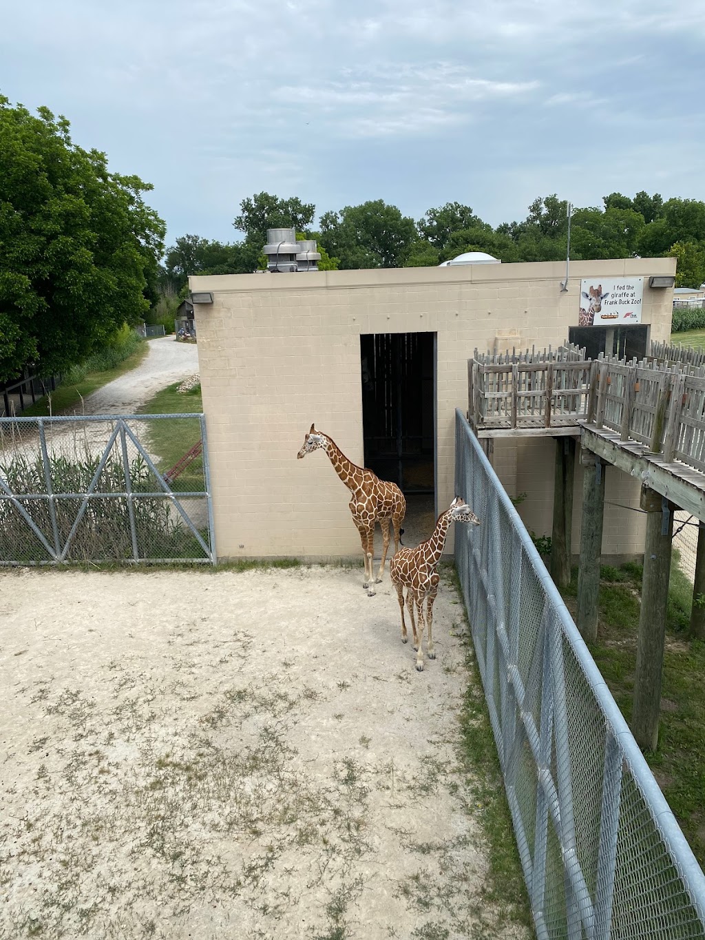 Frank Buck Zoo | 1000 W California St, Gainesville, TX 76240, USA | Phone: (940) 668-4539