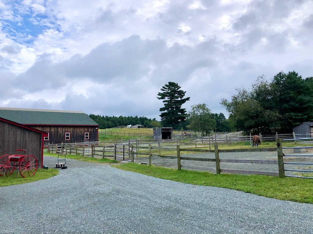 Wildflower Stables | 166 Hemmingway Pl, Norfolk, MA 02056 | Phone: (774) 478-0462