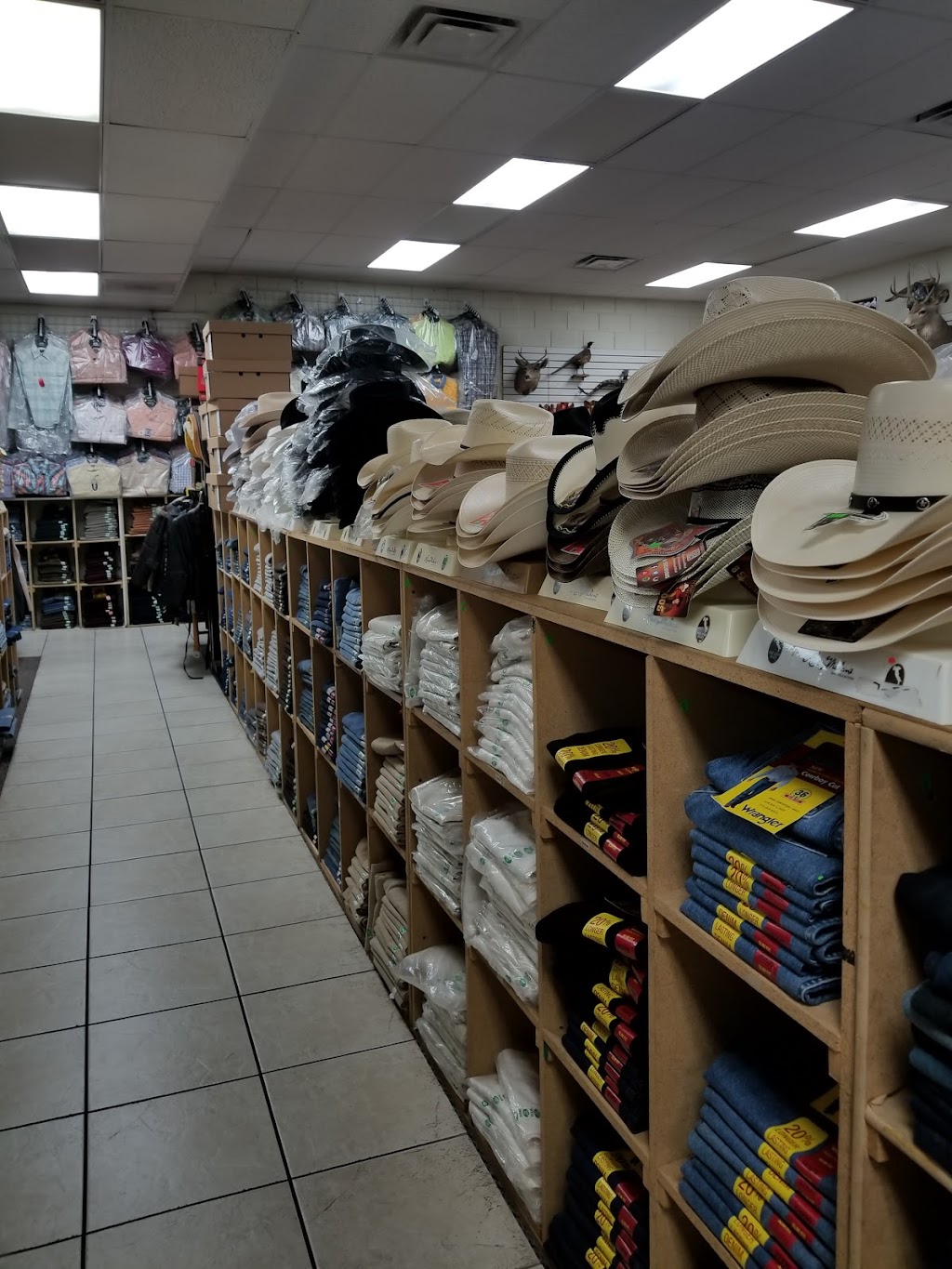 Botas El Jibaro | 2746 E McDowell Rd, Phoenix, AZ 85008, USA | Phone: (602) 258-7100