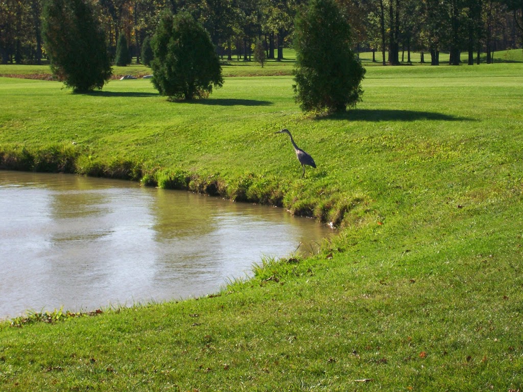 Sutton Creek Golf Course | 2135 County Rd 12, Essex, ON N8M 2X6, Canada | Phone: (519) 726-6900