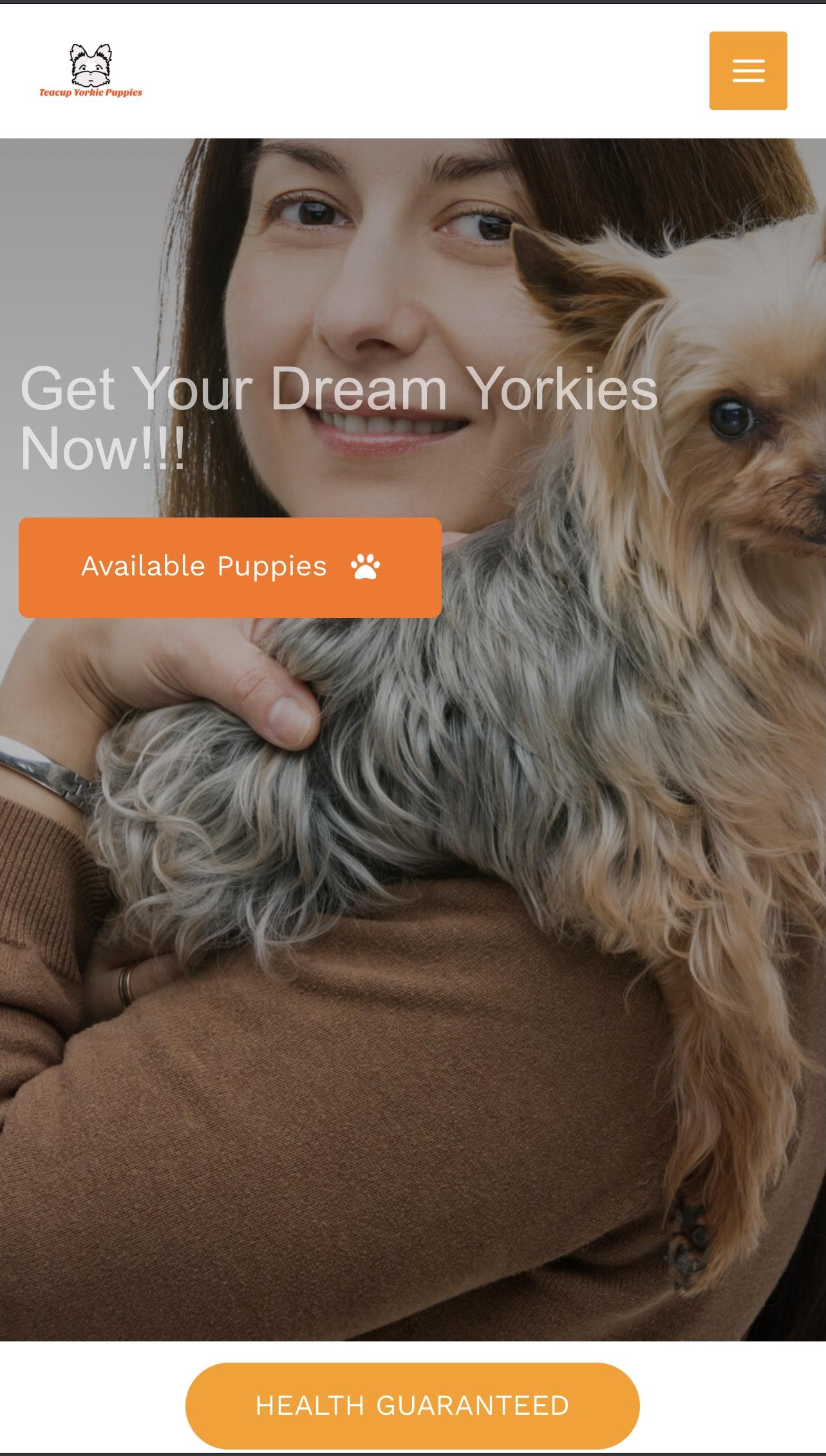 Tc Yorkies | 901 Madison St, Eagle Pass, TX 78852, United States | Phone: (830) 745-5405