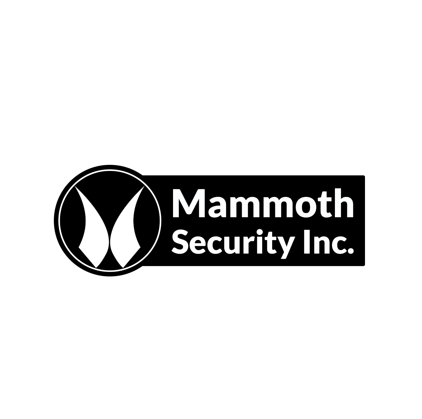 Mammoth Security Inc. Norwalk | 75 Main St Suite #1197, Norwalk, CT 06851, United States | Phone: (203) 601-6779