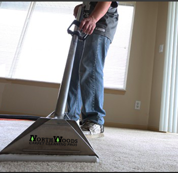 Northwoods Carpet & Tile Cleaning Pros | 7017 147th St W, Savage, MN 55378, USA | Phone: (952) 300-0015