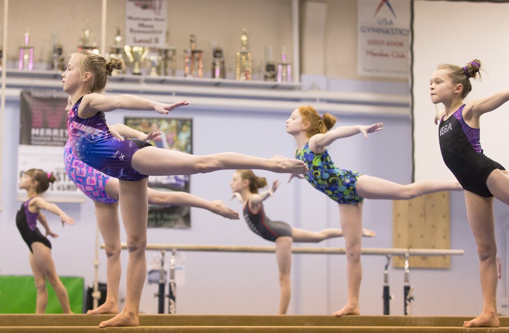 Vancouver Elite Gymnastics Academy | 840 NW 10th Ave, Camas, WA 98607, USA | Phone: (360) 834-7424