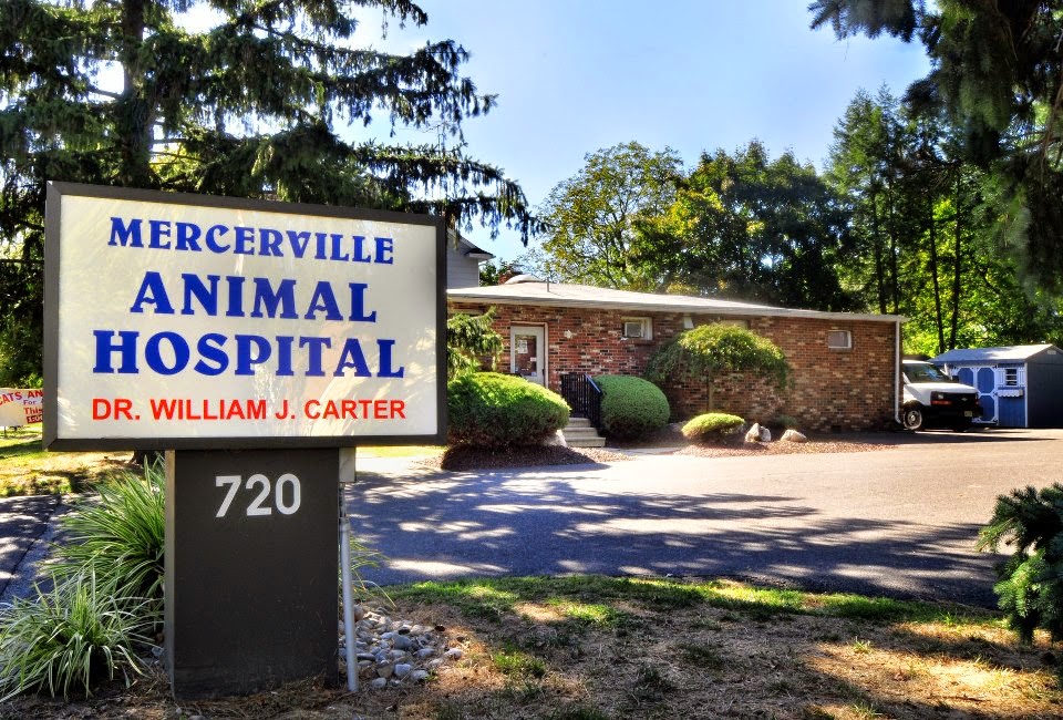 Mercerville Animal Hospital | 720 Edinburg Rd, Hamilton Township, NJ 08619, USA | Phone: (609) 587-5863