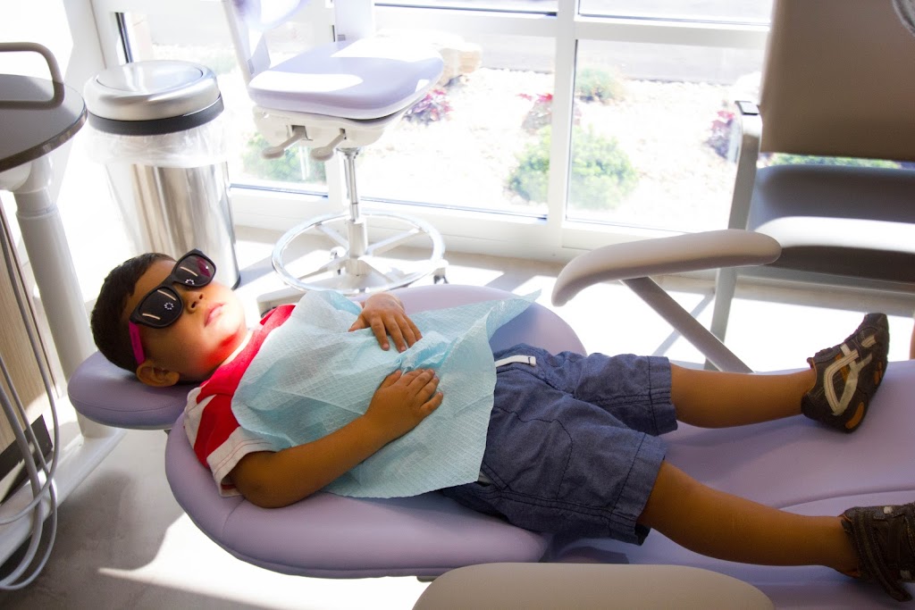 MapleTree Pediatric Dentistry | 1915 County Rd D E, Maplewood, MN 55109, USA | Phone: (651) 779-9002