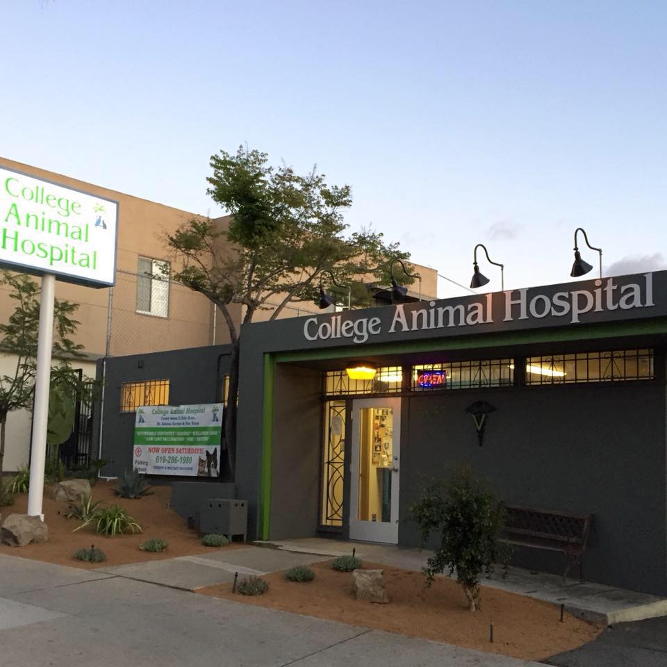 College Animal Hospital | 5653 El Cajon Blvd, San Diego, CA 92115, United States | Phone: (619) 286-1980