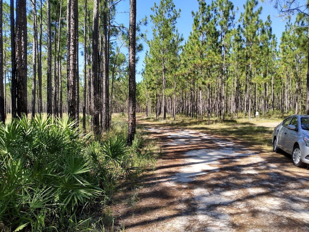 Ralph E Simmons Wildlife Management Area | 32046, Hilliard, FL 32046, USA | Phone: (904) 845-4933