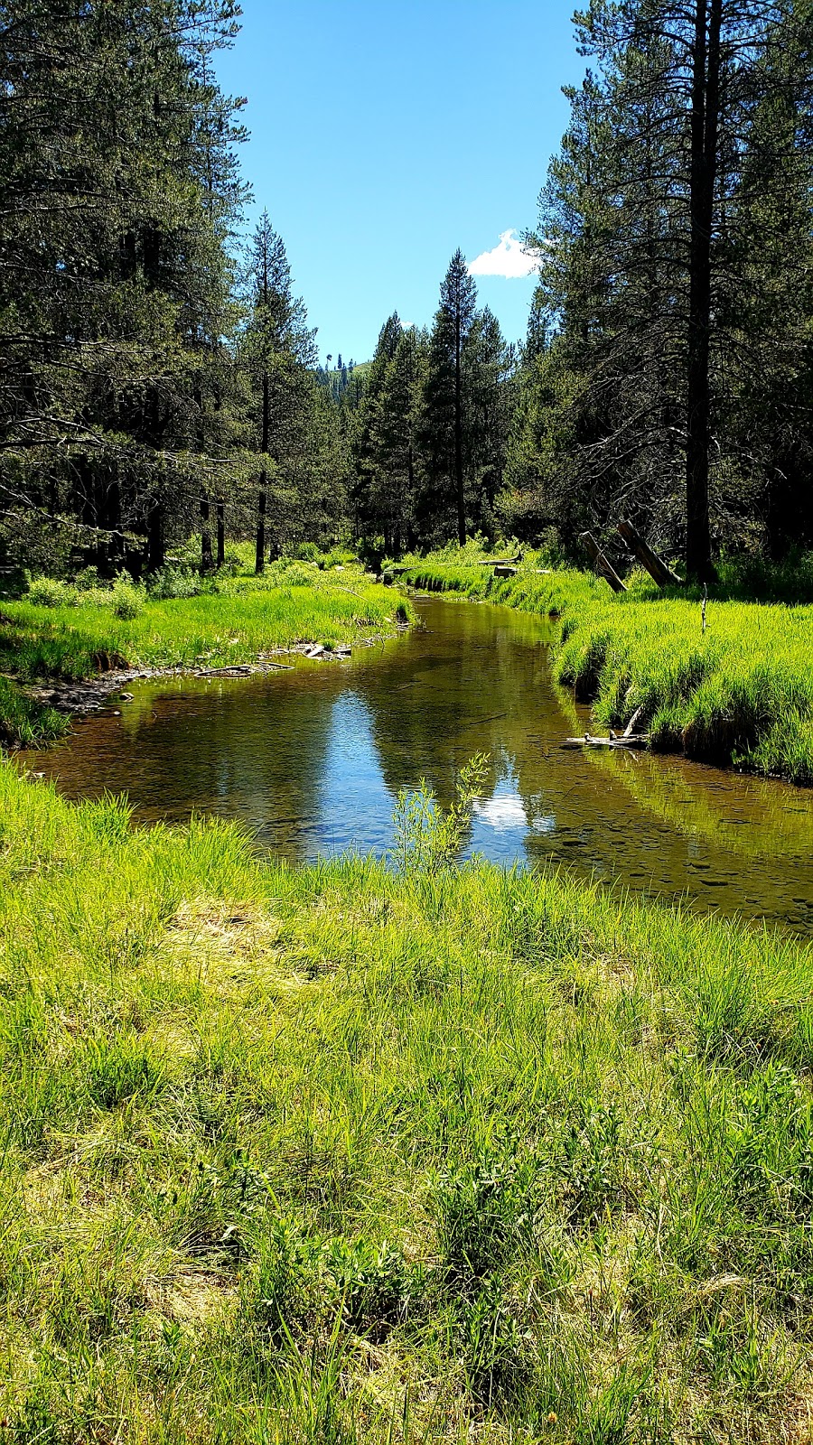 Donner Memorial State Museum | 12593 Donner Pass Rd, Truckee, CA 96161, USA | Phone: (530) 582-7892 Donner Memorial State Museum | 12593 Donner Pass Rd, Truckee, CA 96161, USA | Phone: (530) 582-7892