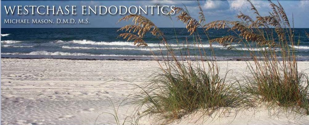 Westchase Endodontics | 13019 W Linebaugh Ave #102, Westchase, FL 33626, USA | Phone: (813) 814-7649