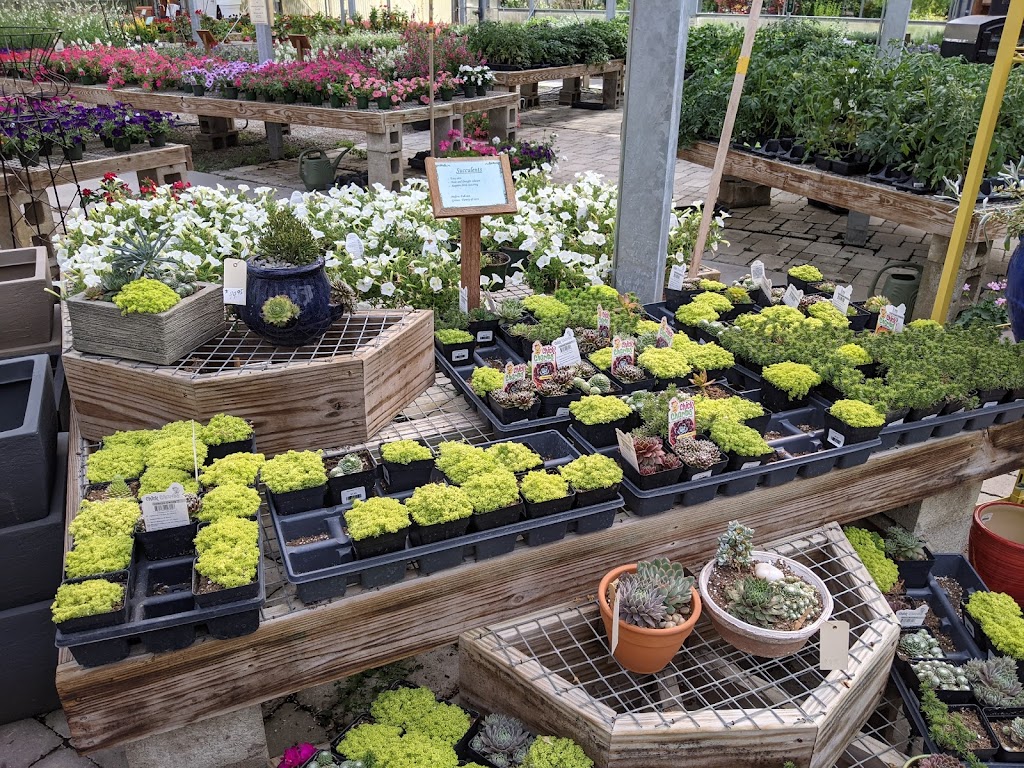 Garden Gate Nursery Inc | 1701 N Main St, Auburn, IN 46706, USA | Phone: (260) 925-1760