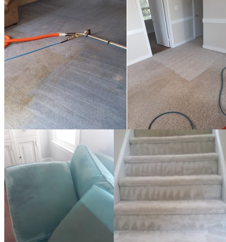 Why Carpets LLC | 125 Perdues Rd, Louisburg, NC 27549, USA | Phone: (252) 820-3302