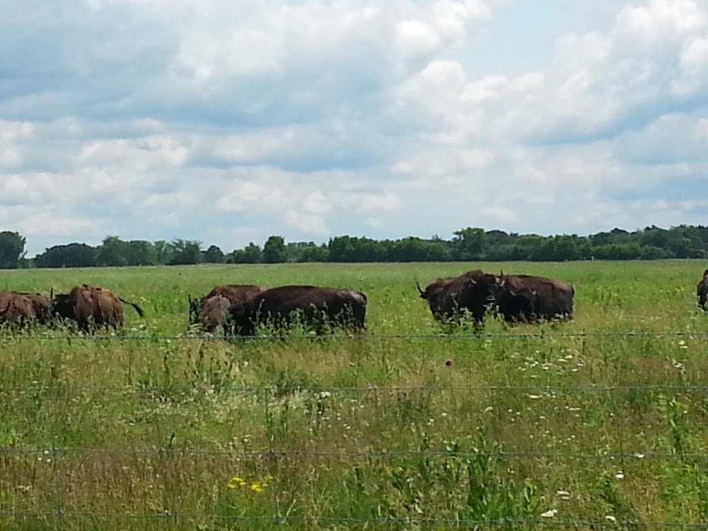 Belwin Conservancy: Stagecoach Prairie | 825 Stagecoach Trail S, Afton, MN 55001, USA | Phone: (651) 436-5189