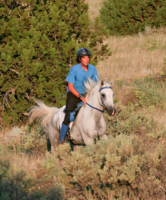 Specialized Saddles | 8267 Bosque Rd, Canutillo, TX 79835, USA | Phone: (915) 345-4130